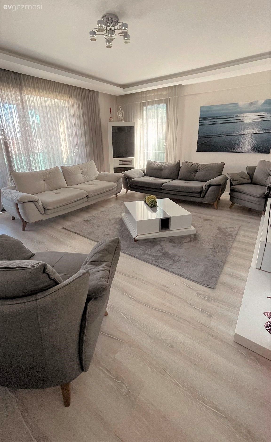 Salon, Modern, Gri, Bej, Beyaz, Koltuk takımı, Berjer, Orta sehpa, Sehpa, Halı, Salon halısı, Tül perde, Perde, Tablo, Duvar dekorasyonu, Parke, Tv ünitesi, Tv ünitesi aksesuarları, Ev Aksesuar, Avize, Aydınlatma