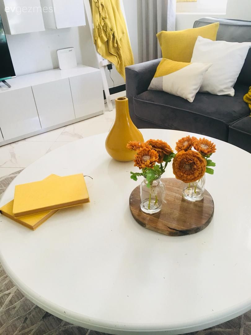 Beyaz, Salon, Koltuk takımı, Rustik, Gri koltuk, Halı, Gri, Salon halısı, Sarı, Kırlent, Ev tekstili, Orta sehpa, Sehpa, Sehpa üstü aksesuarı, Ev Aksesuar, Tv ünitesi, Tv ünitesi aksesuarları, Ev bitkisi