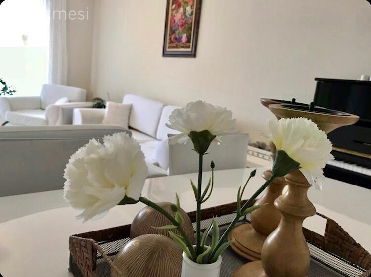 Ev Gezmesi: Sadelikten Keyif Alan Zarif Bir Dekor