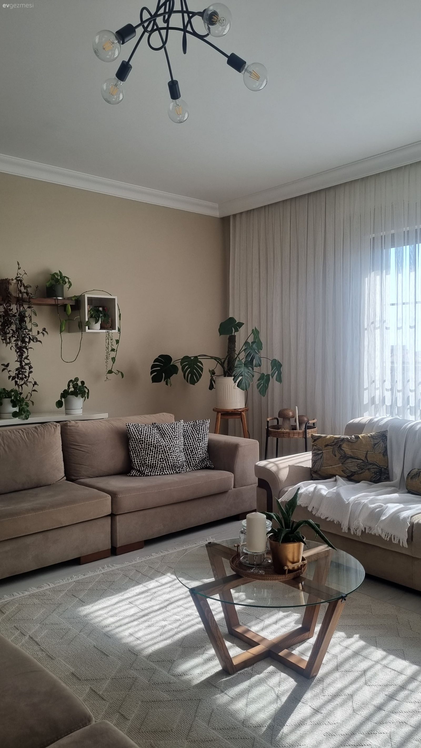 Bu Ankara Evinde Bitkiler Fazlaca Söz Sahibi