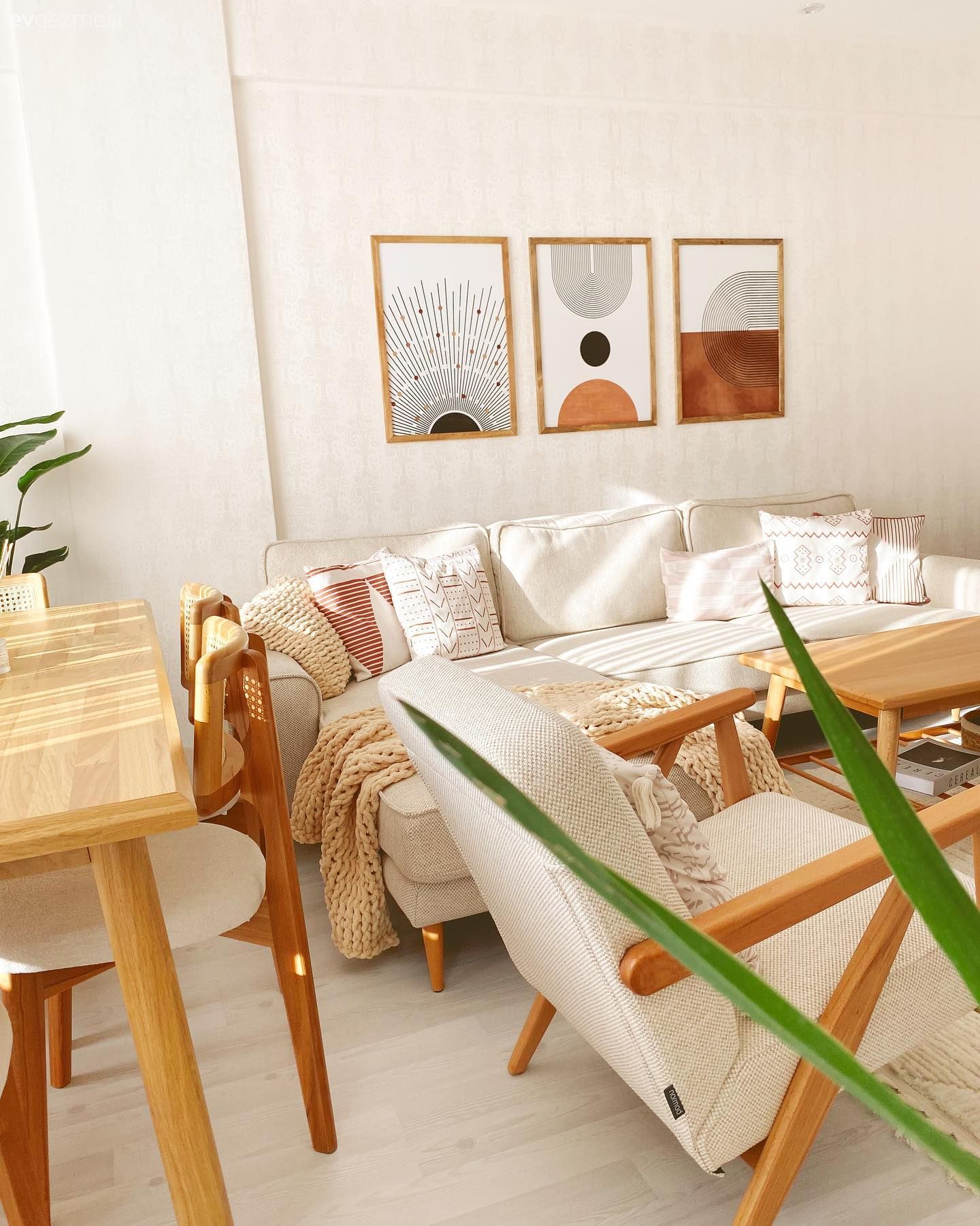 Krem, Beyaz, Ahşap Mobilya, Köşe koltuk, Koltuk takımı, Tablo, Duvar dekorasyonu, Ev bitkisi, Kırlent, Ev tekstili, Dekoratif Objeler, Saksı, Sandalye, Turuncu