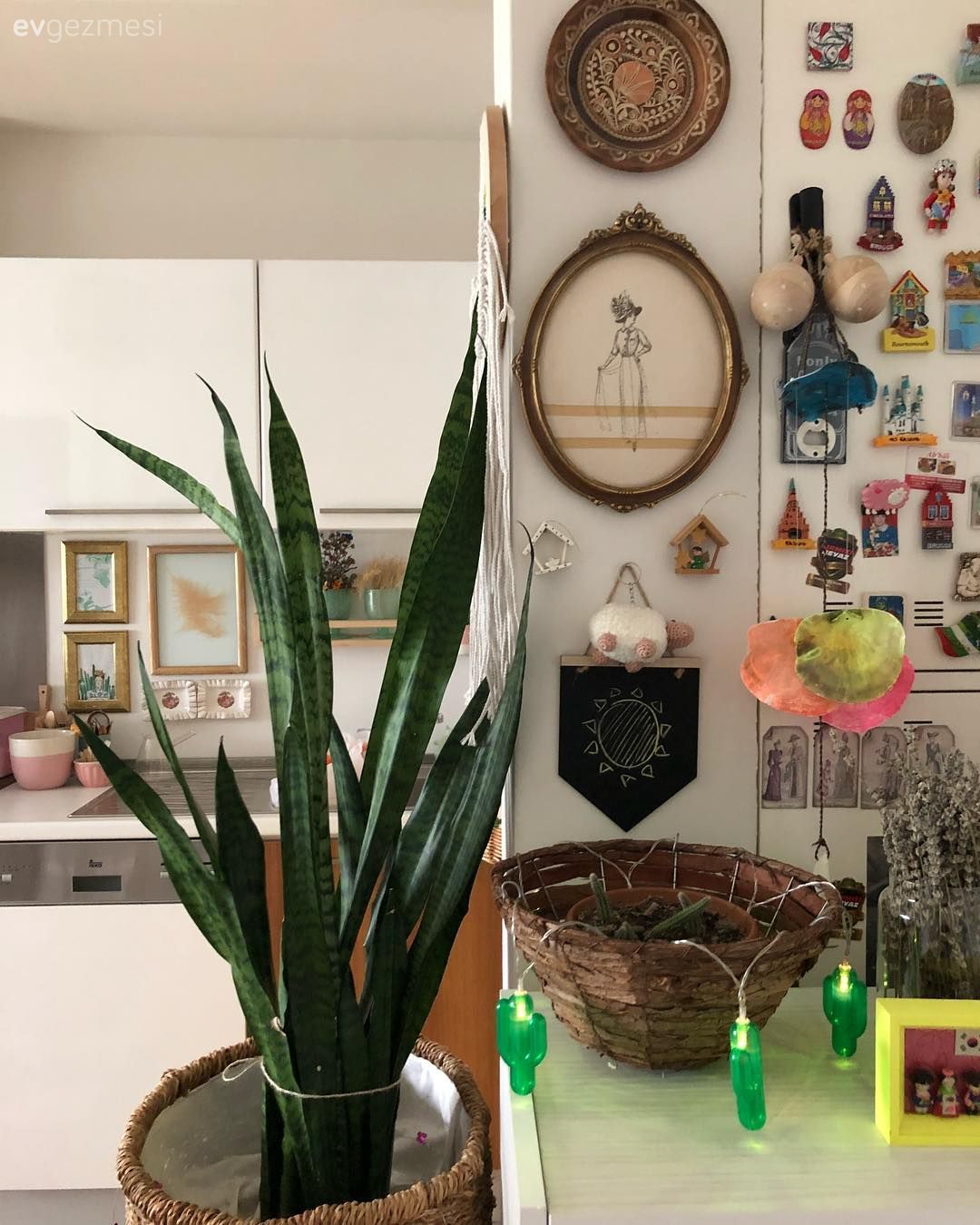 Duvar dekorasyonu, Çerçeve, Ev bitkisi, Led peri ışık, Hasır vazo, Duvar panosu