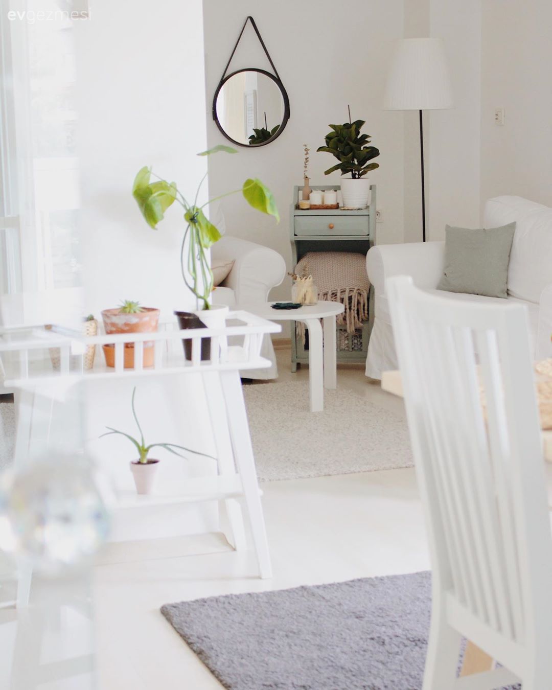 Koltuk takımı, Beyaz, Kırlent, Ev tekstili, Gri, Siyah, Ev bitkisi, Çiçeklik, Orta sehpa, Sehpa, Vizon