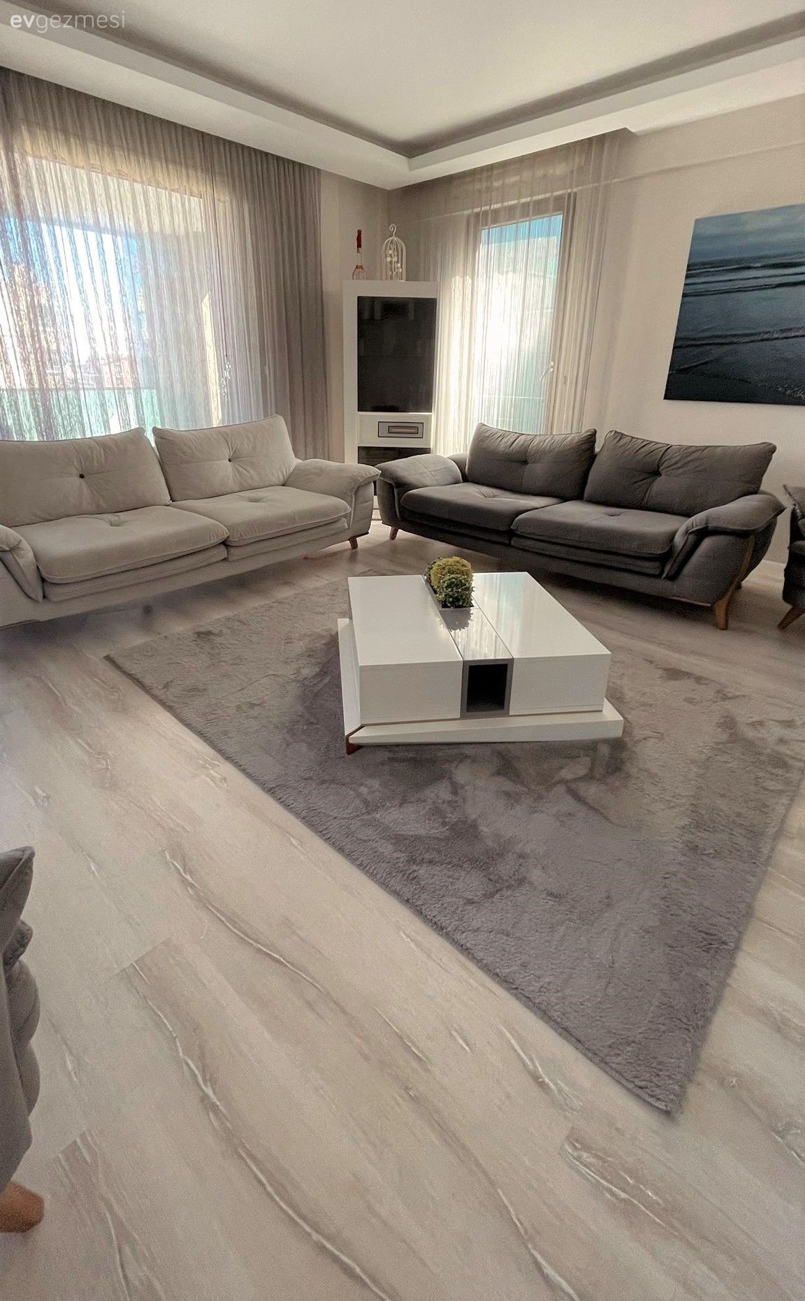 Salon, Gri, Beyaz, Bej, Koltuk takımı, Orta sehpa, Sehpa, Halı, Salon halısı, Tablo, Duvar dekorasyonu, Tül perde, Perde, Parke