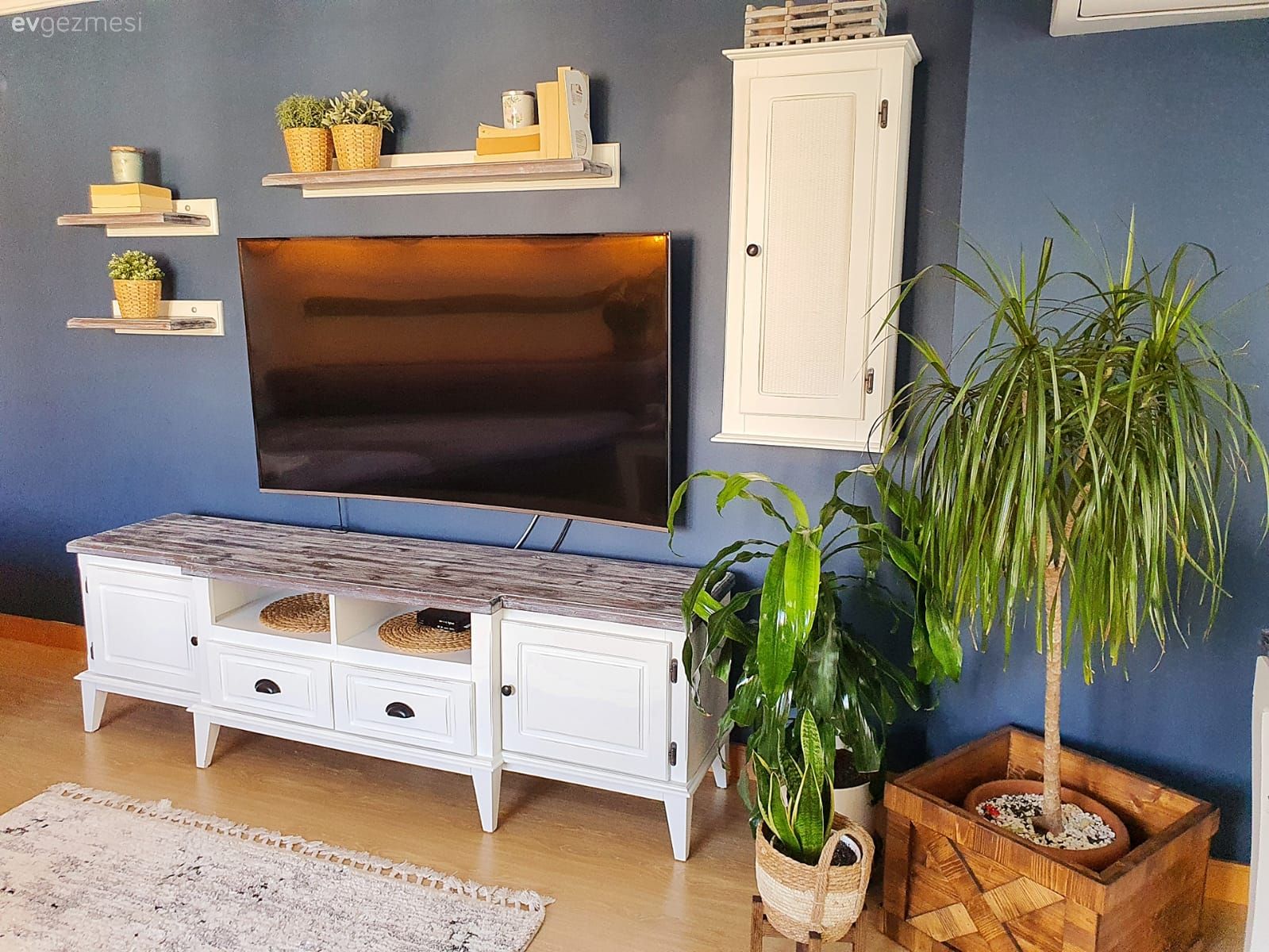 Mavi duvar, Beyaz, Duvar rafı, Duvar dekorasyonu, Tv ünitesi, Tv ünitesi aksesuarları, Ev Aksesuar, Ev bitkisi
