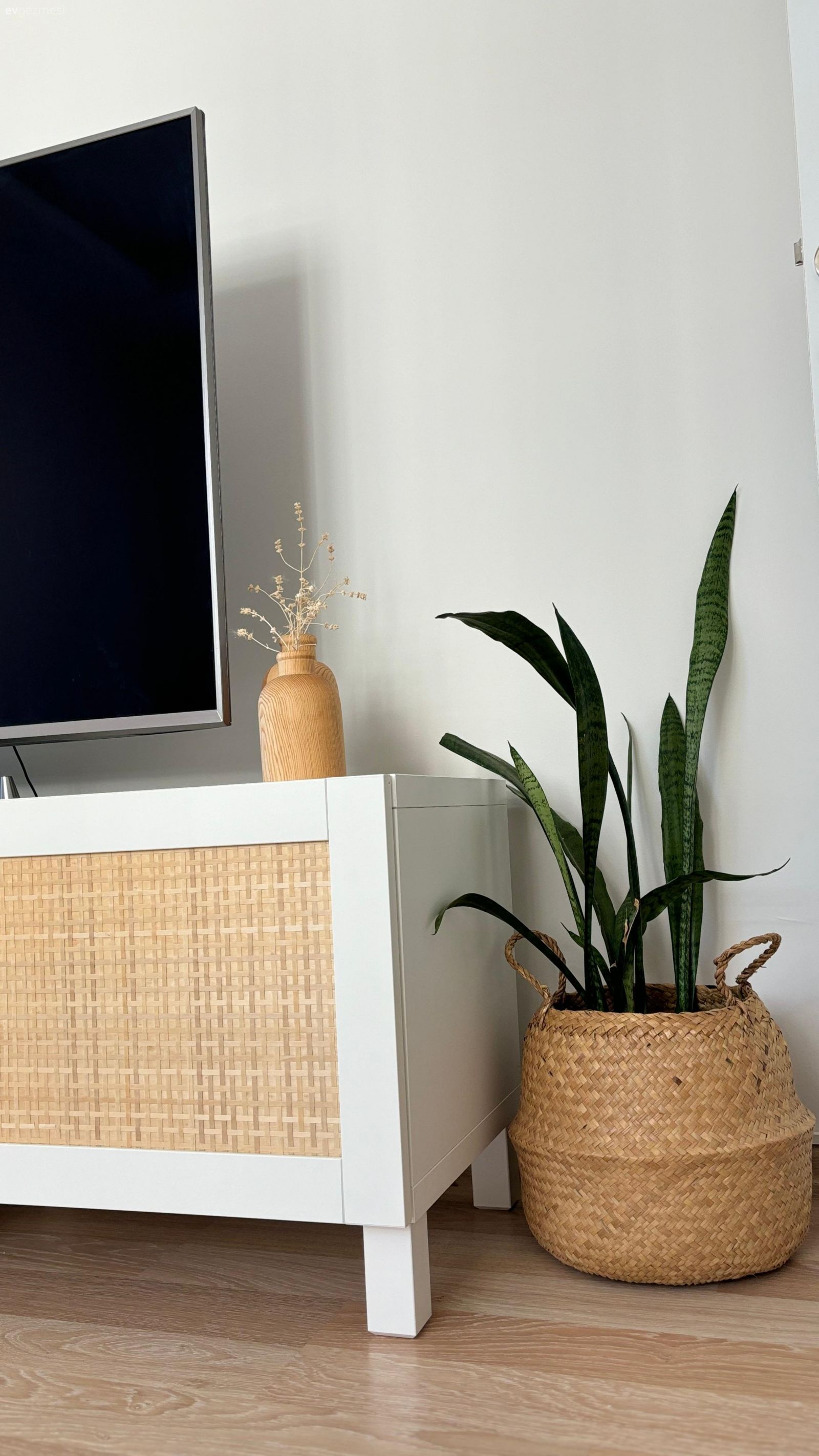 Doğayla Uyumlu Evler: Sürdürülebilir Dekorasyon Rehberi