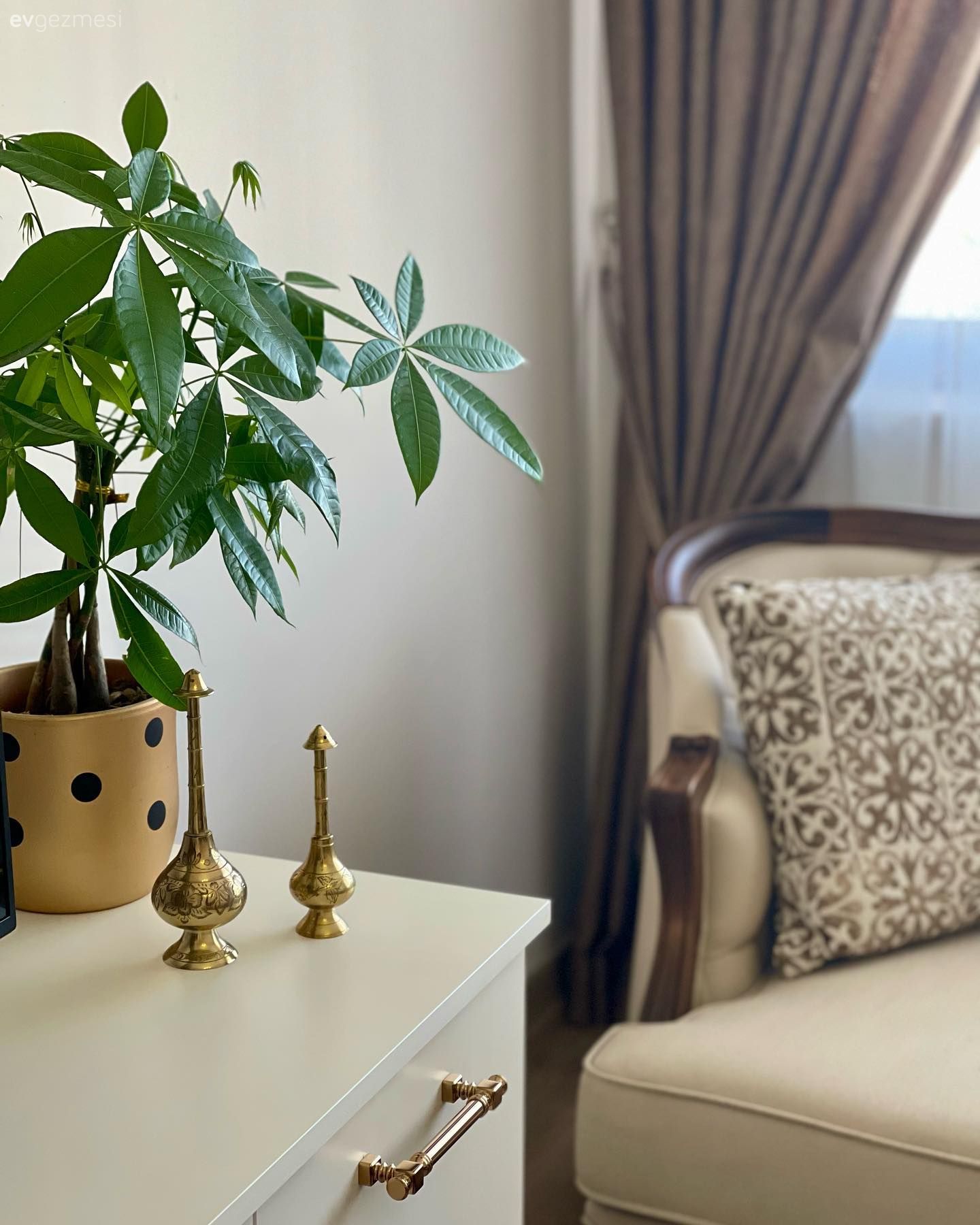 Fon perde, Perde, Ev bitkisi, Berjer, Krem