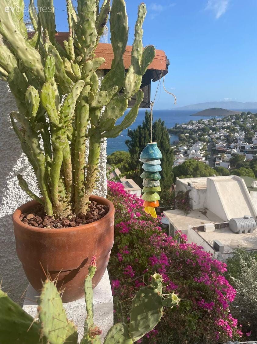 Denize Bakan Bu Teras Bolca Emek Sonunda Bu Hâle Gelmiş!