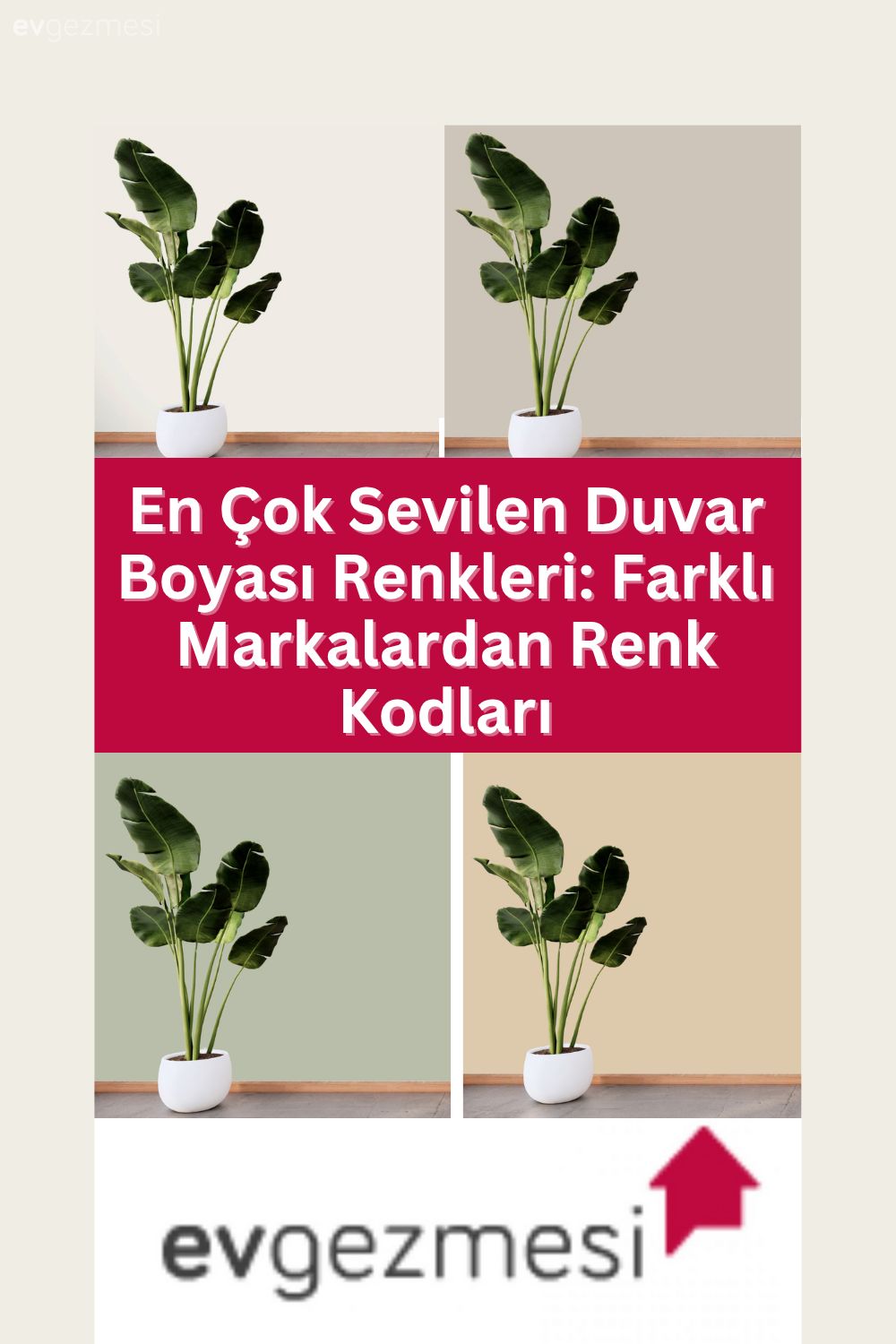 En Çok Sevilen Duvar Boyası Renkleri: Farklı Markalardan Renk Kodları