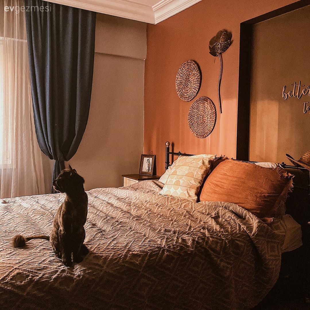 Yatak Odası, Turuncu, Turuncu duvar rengi, Kahverengi, Kırlent, Ev tekstili, Yatak örtüsü, Fon perde, Perde, Tül perde, Duvar boyama, Eklektik