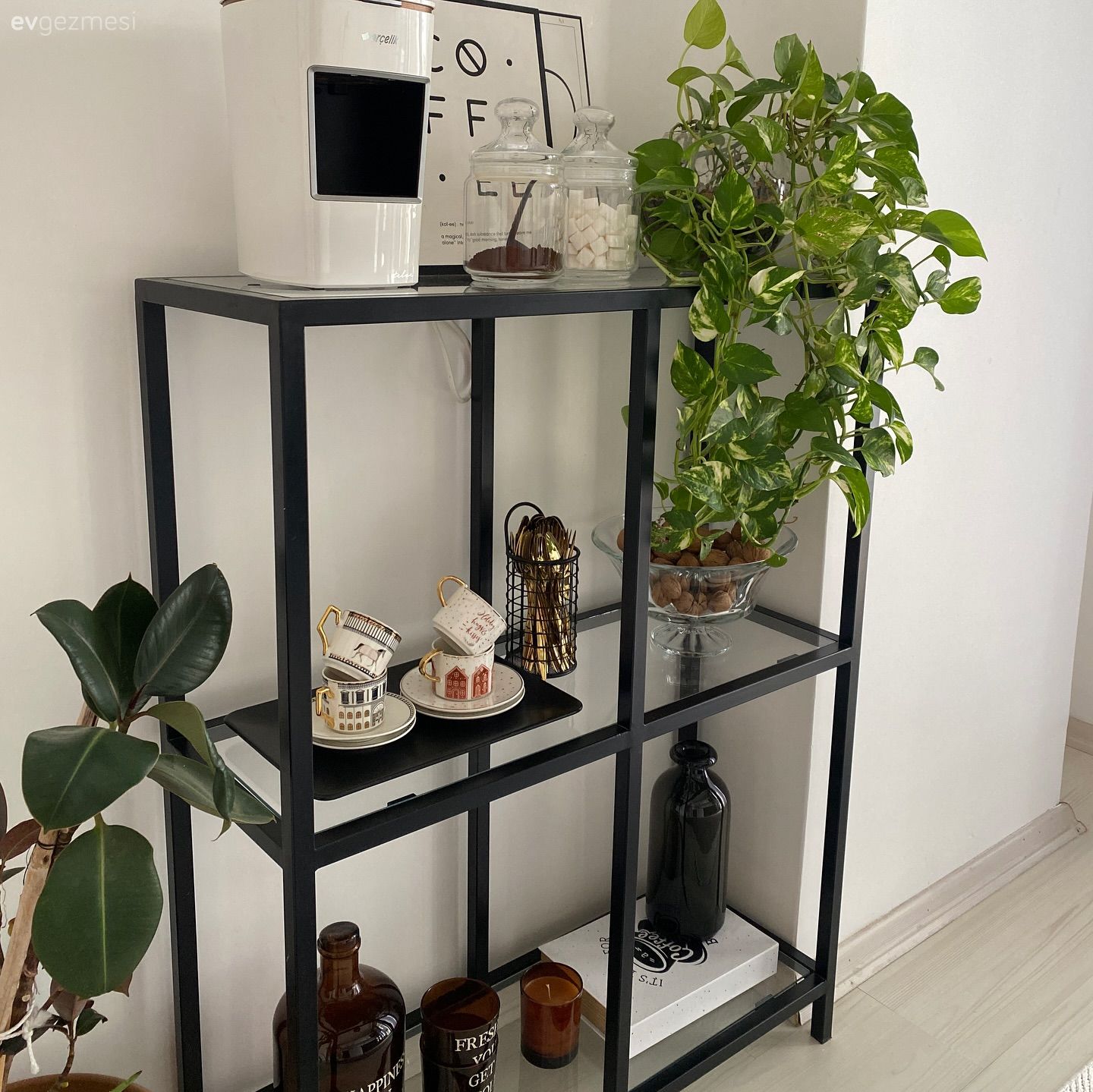 Mutfak rafı, Mutfak, Kahve köşesi, Siyah, Ev bitkisi