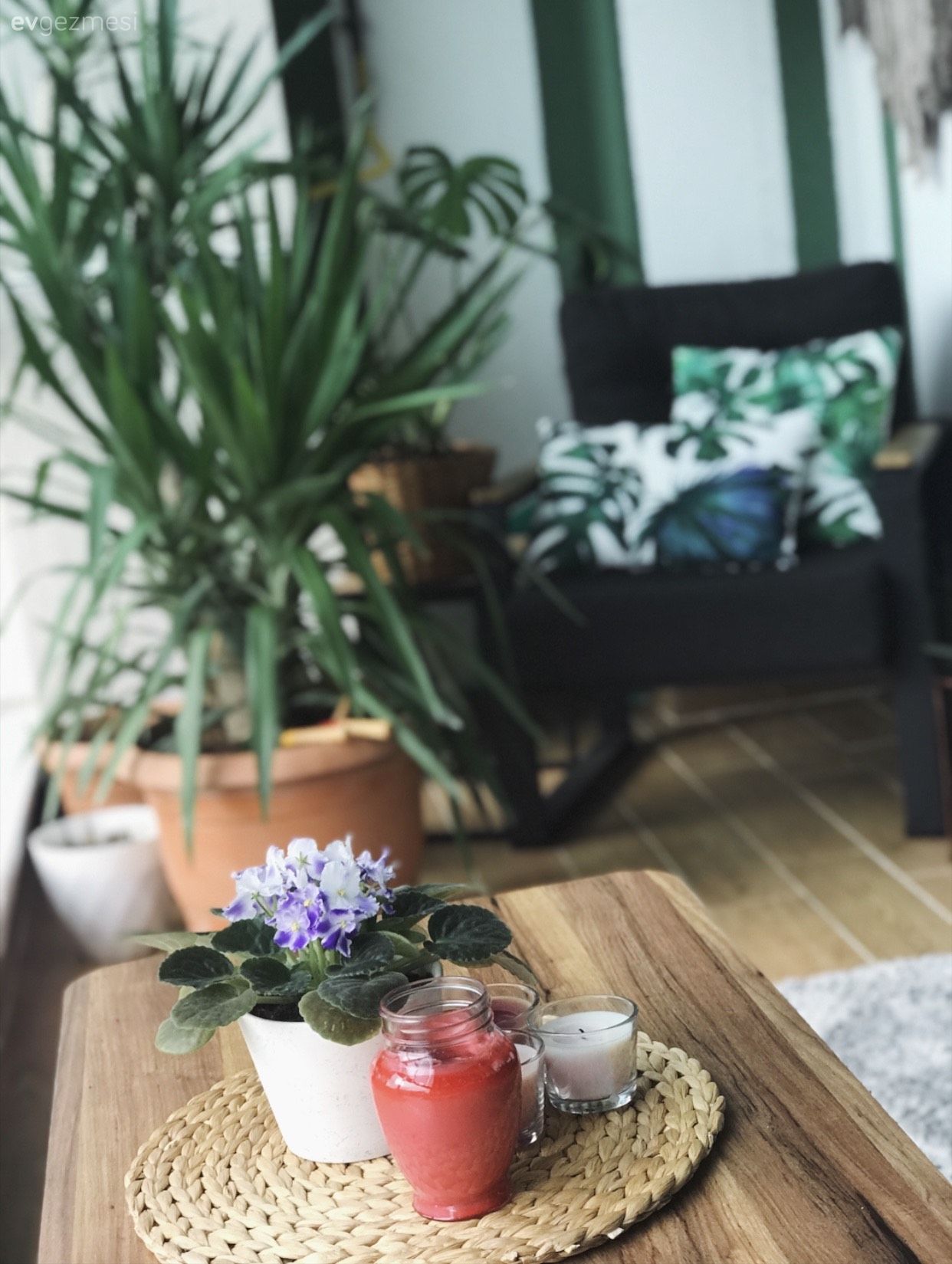 Balkon, Gri, Füme, Yeşil, Beyaz, Balkon duvar dekorasyonu, Balkon masası, Balkon oturma grubu, Ev bitkisi