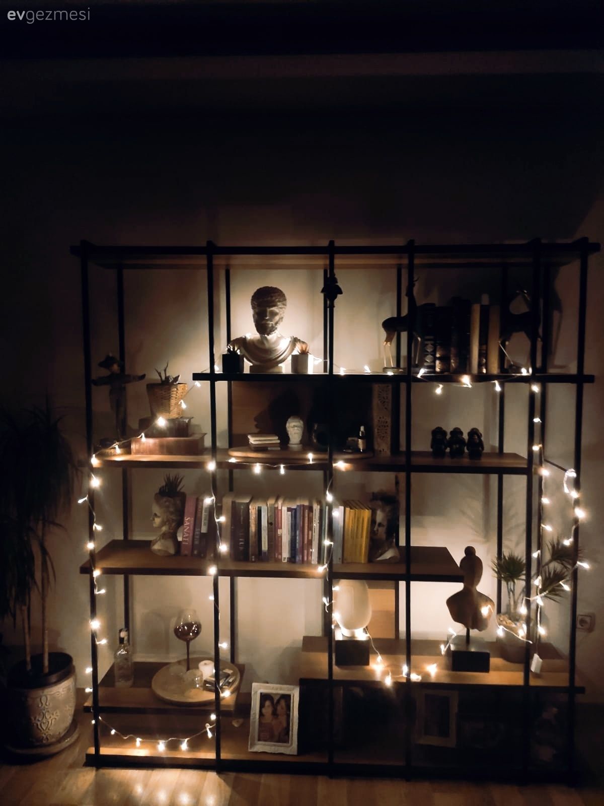 Kitaplık, Dekoratif Objeler, Kitaplık dekoratif objeleri, Ev Aksesuar, Ev bitkisi, Peluş, Led peri ışık