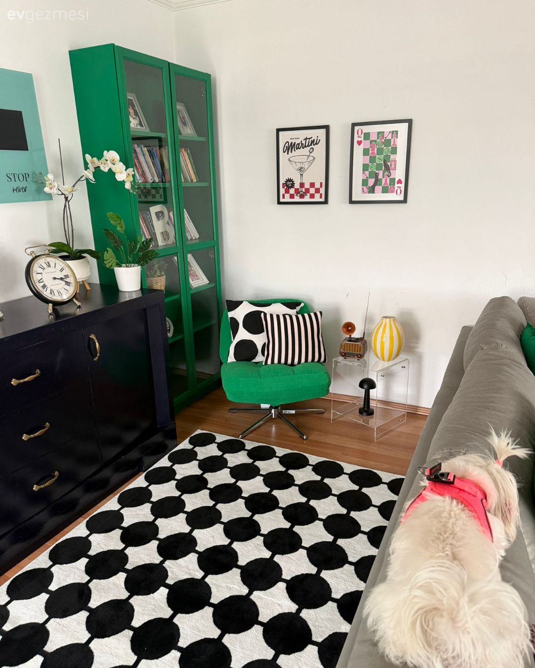 Konsol, Konsol üzeri dekoratif objeleri, Kitaplık, Berjer, Halı, Siyah, Beyaz, Siyah- Beyaz, Çerçeve