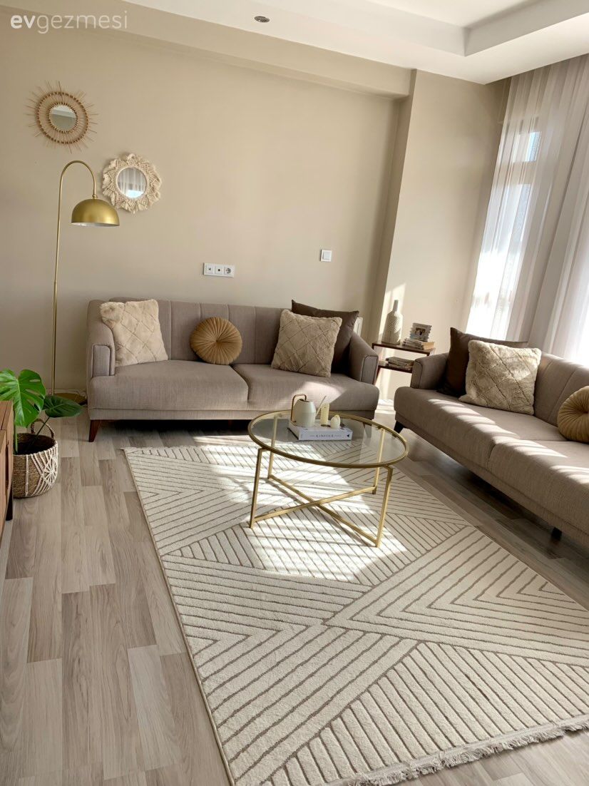 Salon, Modern, Vizon, Krem, Koltuk takımı, Altın, Cam sehpa, Yuvarlak sehpa, Sehpa, Halı, Salon halısı, Lambader, Aydınlatma, Kırlent, Ev tekstili, Duvar dekorasyonu, Tül perde, Perde, Parke, Saksı