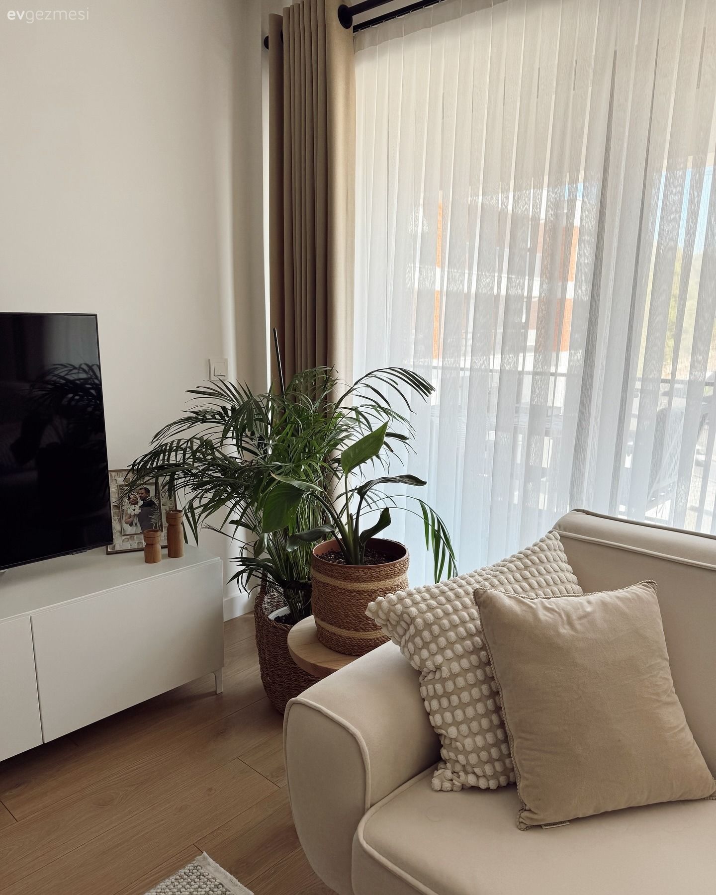 Salon, Krem, Kahverengi, Fon perde, Perde, Tül perde, Ev bitkisi, Köşe koltuk, Koltuk takımı, Tv ünitesi, Tv ünitesi aksesuarları, Ev Aksesuar