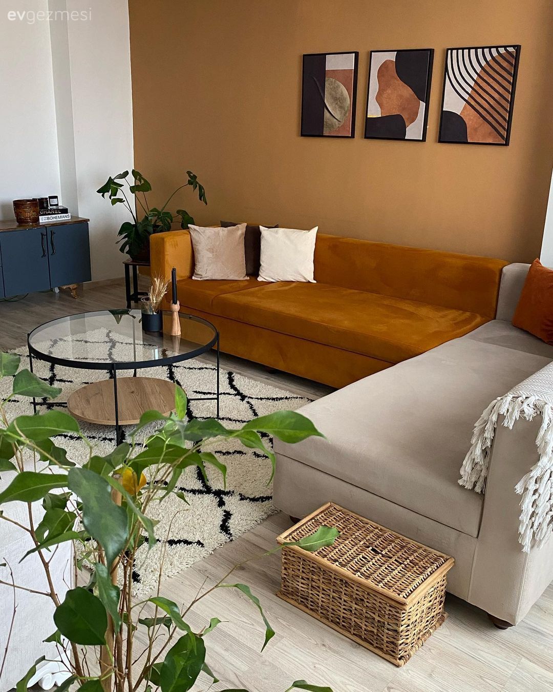 Turuncu Duvar Bu Muş Evine Nasıl Da Hareket Katmış!