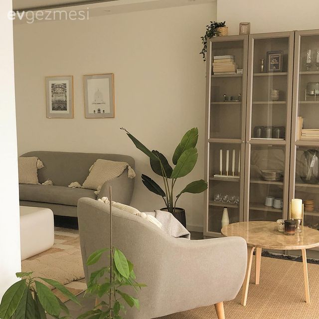 Salon, İskandinav, Gri, Beyaz, Koltuk takımı, Orta sehpa, Sehpa, Halı, Salon halısı, Çerçeve, Berjer, Vitrin, Ev bitkisi, Kırlent, Ev tekstili, Yan sehpa, Saksı, Parke