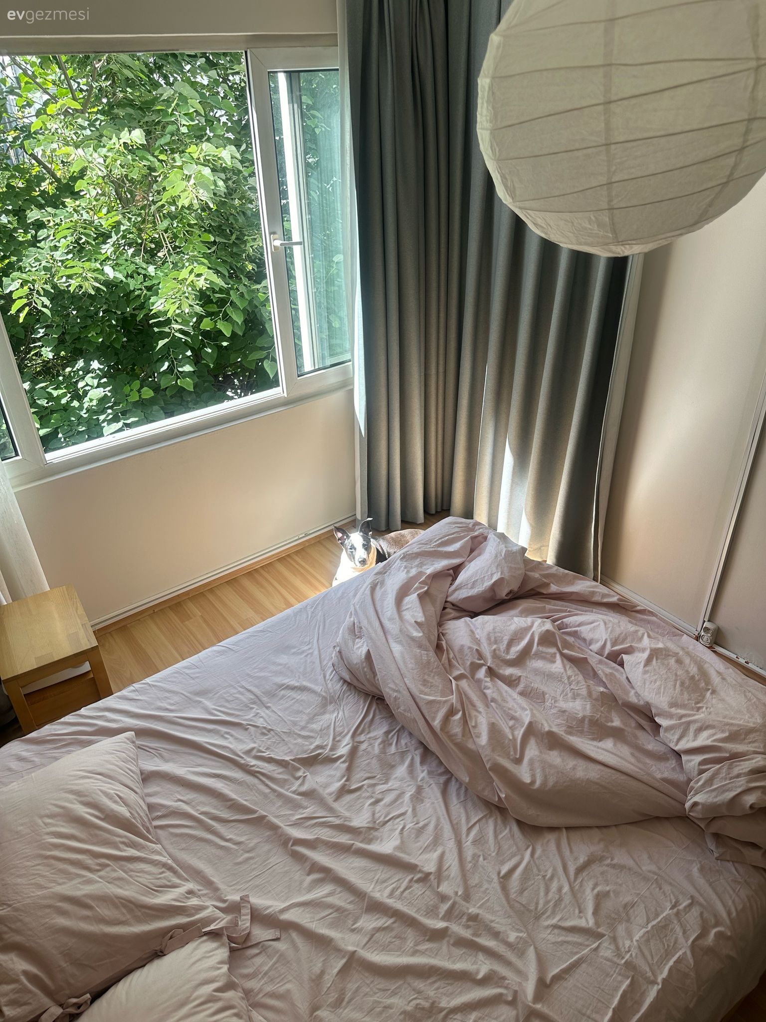 Bu İzmir Evinin Genelinde Salaş Görüntü Hakim