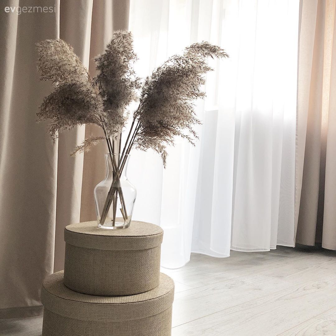 Hasır, Vazo, Ev Aksesuar, Pampas otu, Fon perde, Perde, Tül perde, Bej