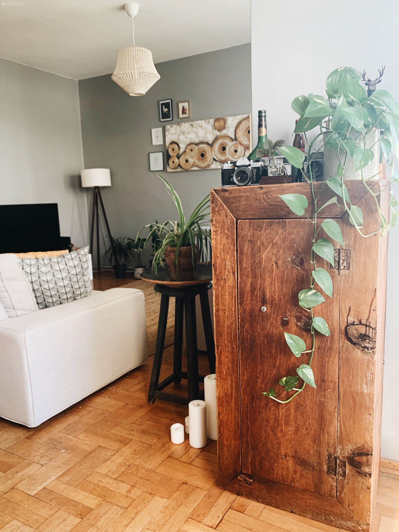 Koltuk takımı, Bej, Ahşap Mobilya, Beyaz, Gri duvar, Tablo, Duvar dekorasyonu, Hasır avize, Mum, Parke, Lambader, Aydınlatma, Ev bitkisi