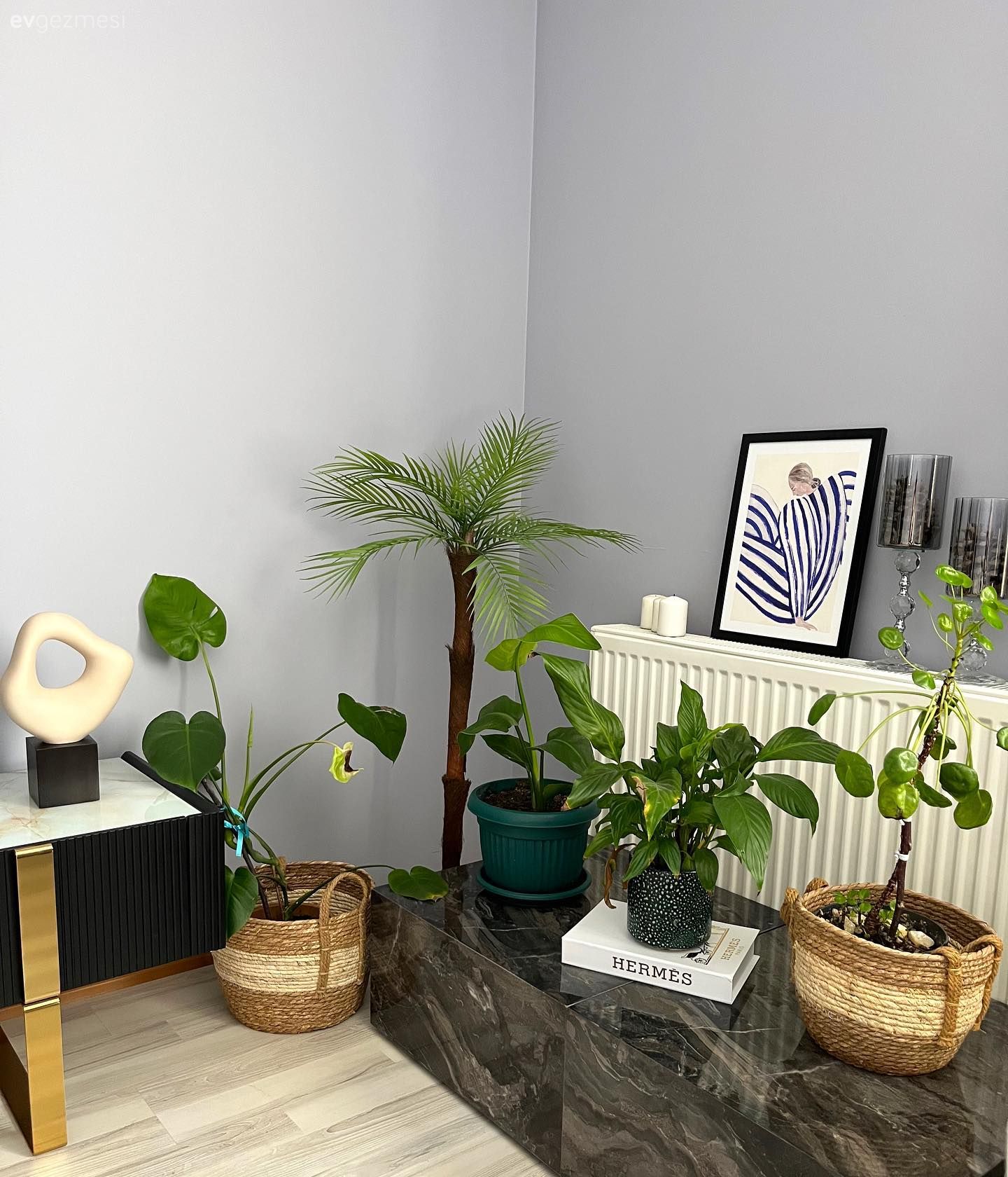 Gri duvar, Saksı, Ev bitkisi, Sehpa, Çerçeve, Hasır