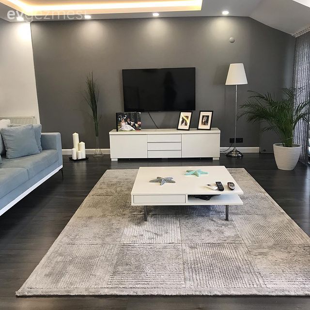 Gri, Gri duvar, Beyaz, Spot aydınlatma, Aydınlatma, Led aydınlatma, Koltuk takımı, Tv ünitesi, Orta sehpa, Sehpa, Halı, Salon halısı