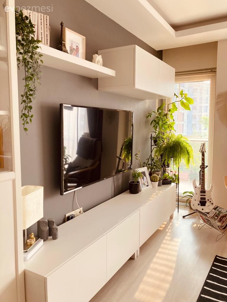 Modern, Salon, Tv ünitesi, Tv ünitesi aksesuarları, Ev Aksesuar, Beyaz, Siyah, Ev bitkisi, Gri duvar