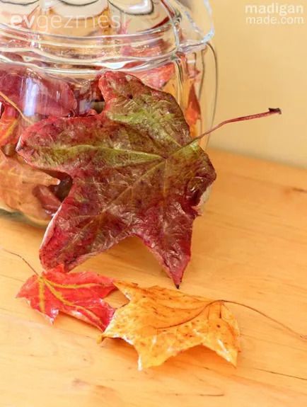 Kendin Yap: Sonbahar Dekoruna Uygun Çok Basit Aksesuar Fikirleri