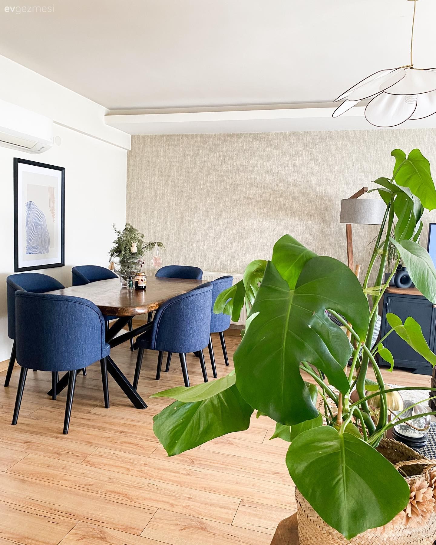 Desenlerle Arası İyi Olan Bu Evde Özgürlüğün de Önemi Başka!