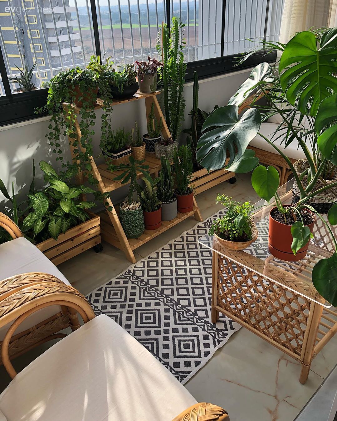 Balkon, Balkon masası, Hasır, Balkon halısı, Ev bitkisi, Kaktüs, Beyaz