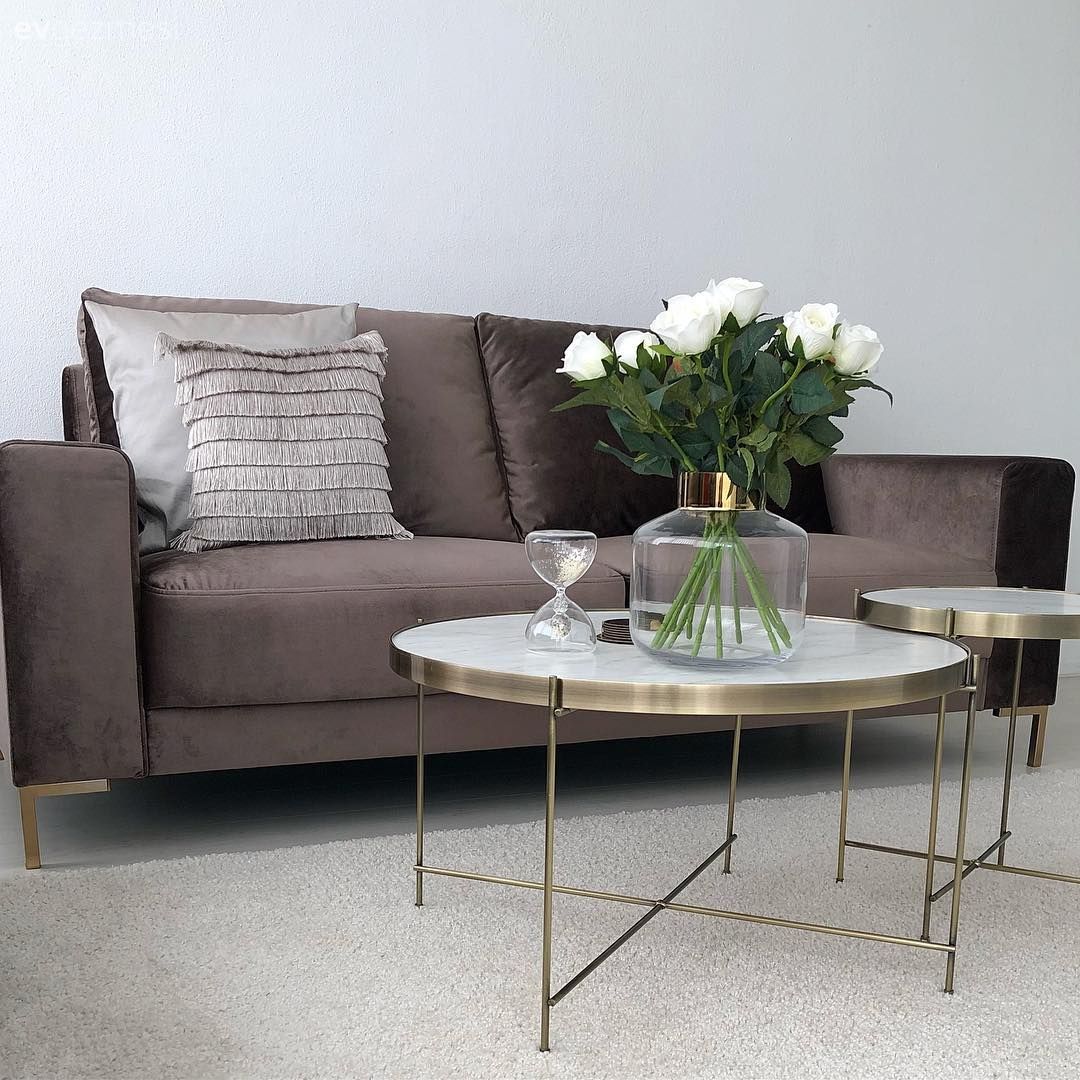 Kahverengi, Salon, Beyaz, Koltuk takımı, Altın, Orta sehpa, Yan sehpa, Sehpa, Abajur, Aydınlatma, Kırlent, Halı, Salon halısı, Ev bitkisi