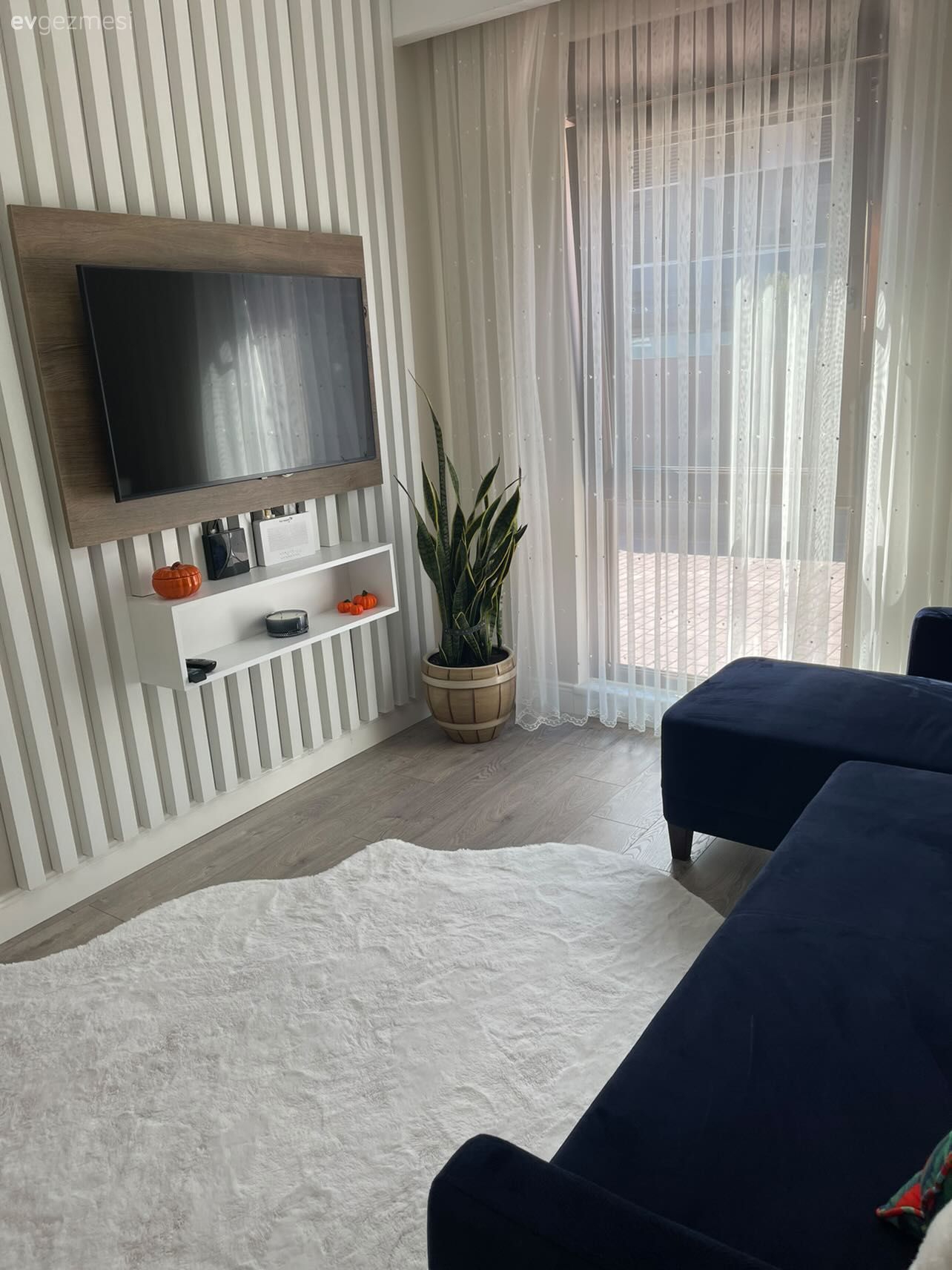 Oturma Odası, Modern, Lacivert, Beyaz, Mavi, Tül perde, Perde, Tv ünitesi, Duvar dekorasyonu, Saksı, Post halı, Halı