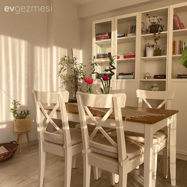 Salon, İskandinav, Beyaz, Vizon, Krem, Kırmızı, Koltuk takımı, Kırlent, Ev tekstili, Halı, Salon halısı, Sandalye, Yemek masası, Kitaplık, Yan sehpa, Sehpa, Ev bitkisi, Saksı