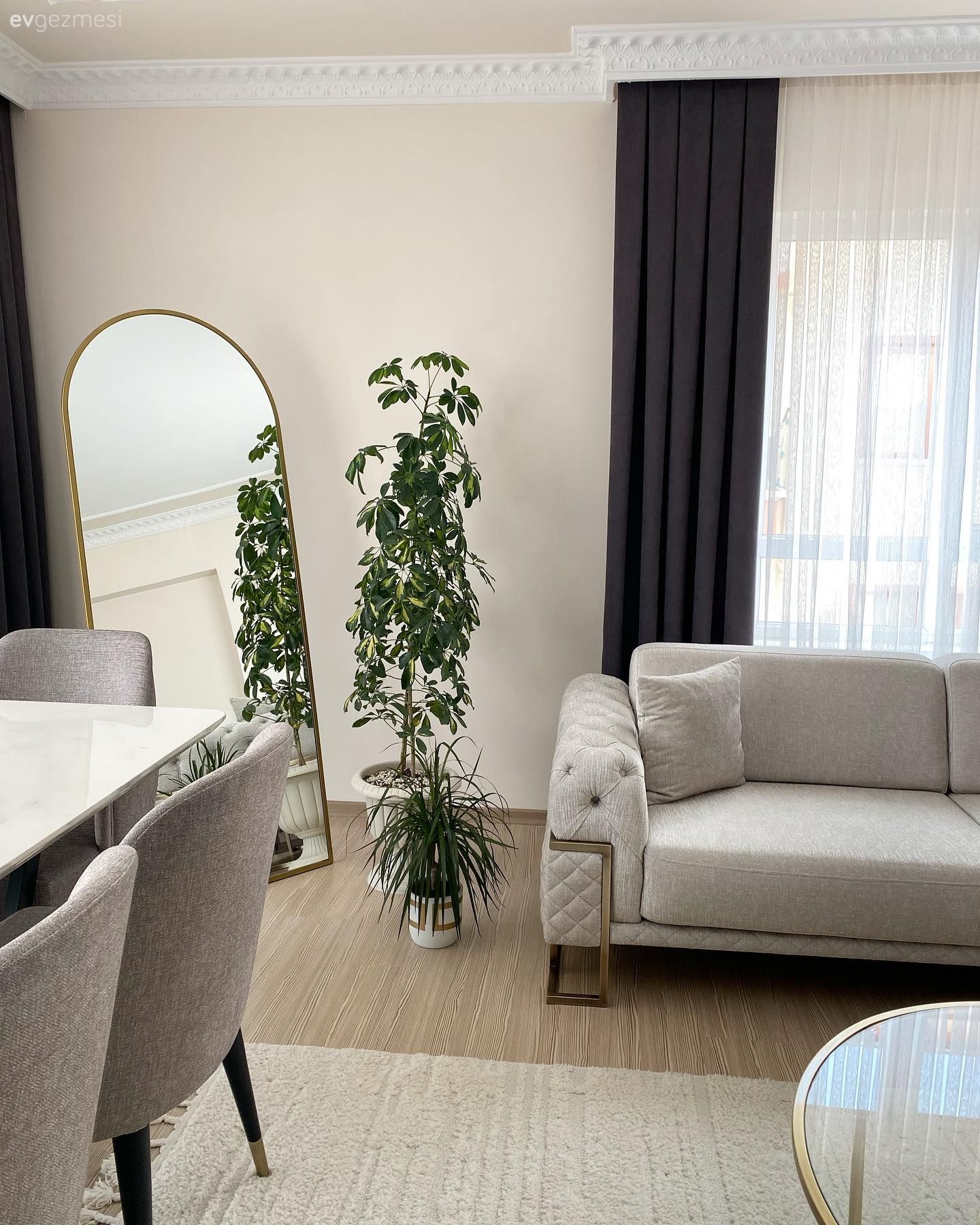 Salon, Modern, Bej, Beyaz, Antrasit  , Boy aynası, Ayna, Ev bitkisi, Halı, Salon halısı, Yemek masası, Sandalye, Koltuk takımı, Saksı