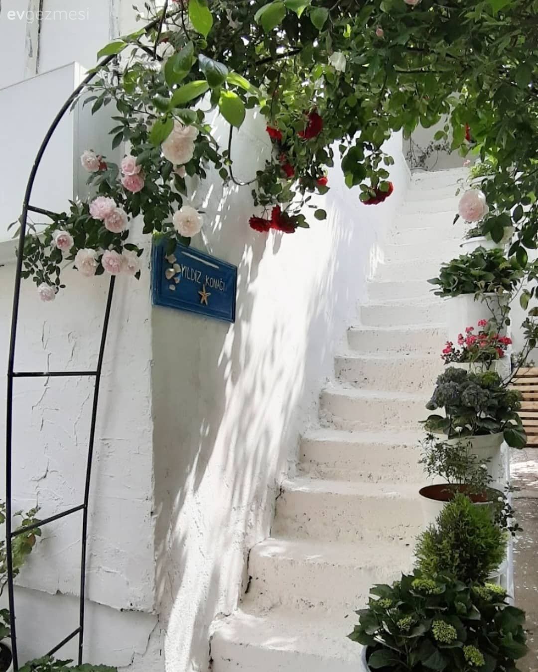 Bahçe, Beyaz, Çiçekler, Peyzaj, Pembe