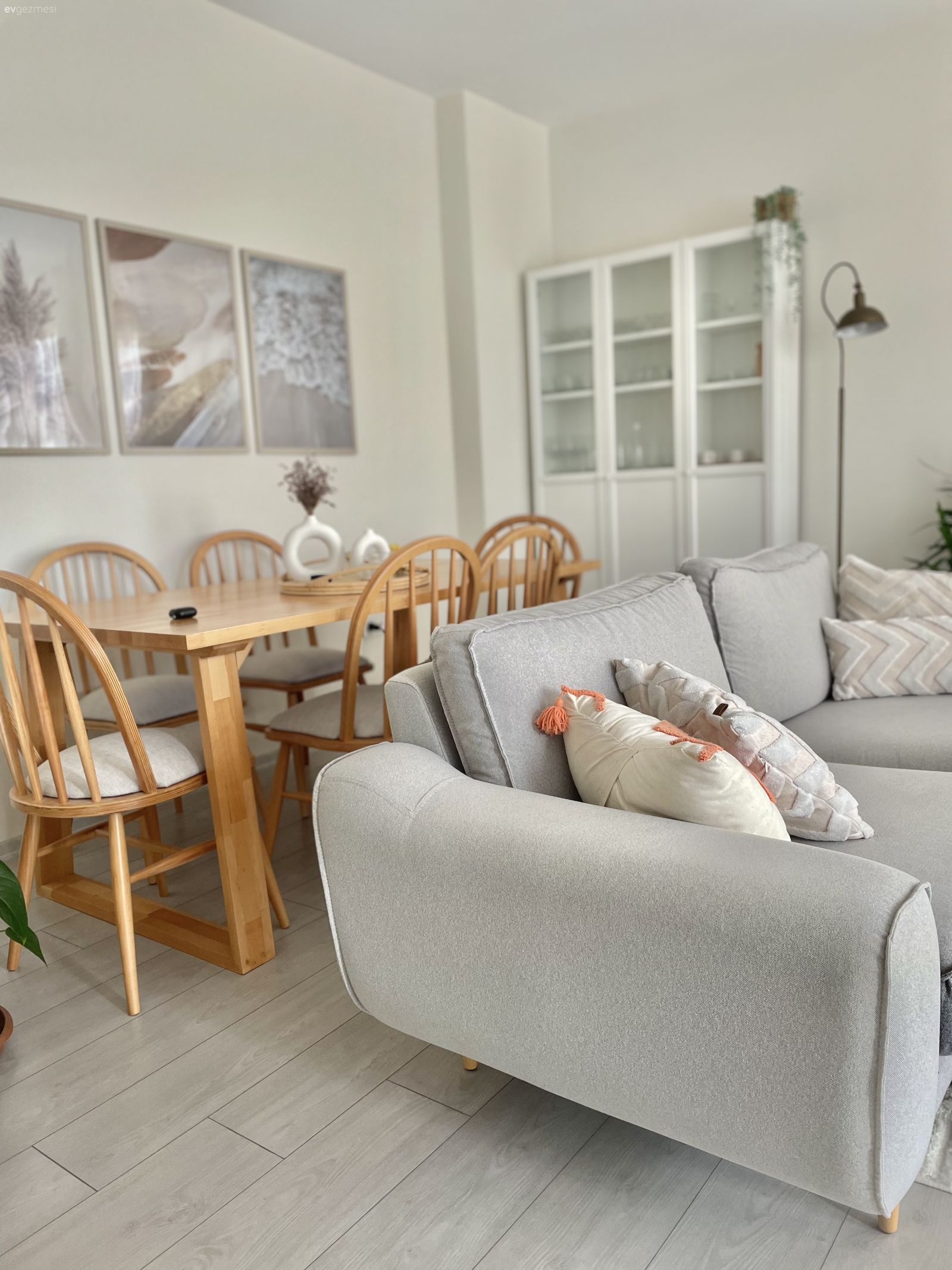 Salon, İskandinav, Gri, Beyaz, Ahşap Mobilya, Tablo, Duvar dekorasyonu, Kırlent, Ev tekstili, Lambader, Aydınlatma, Kitaplık