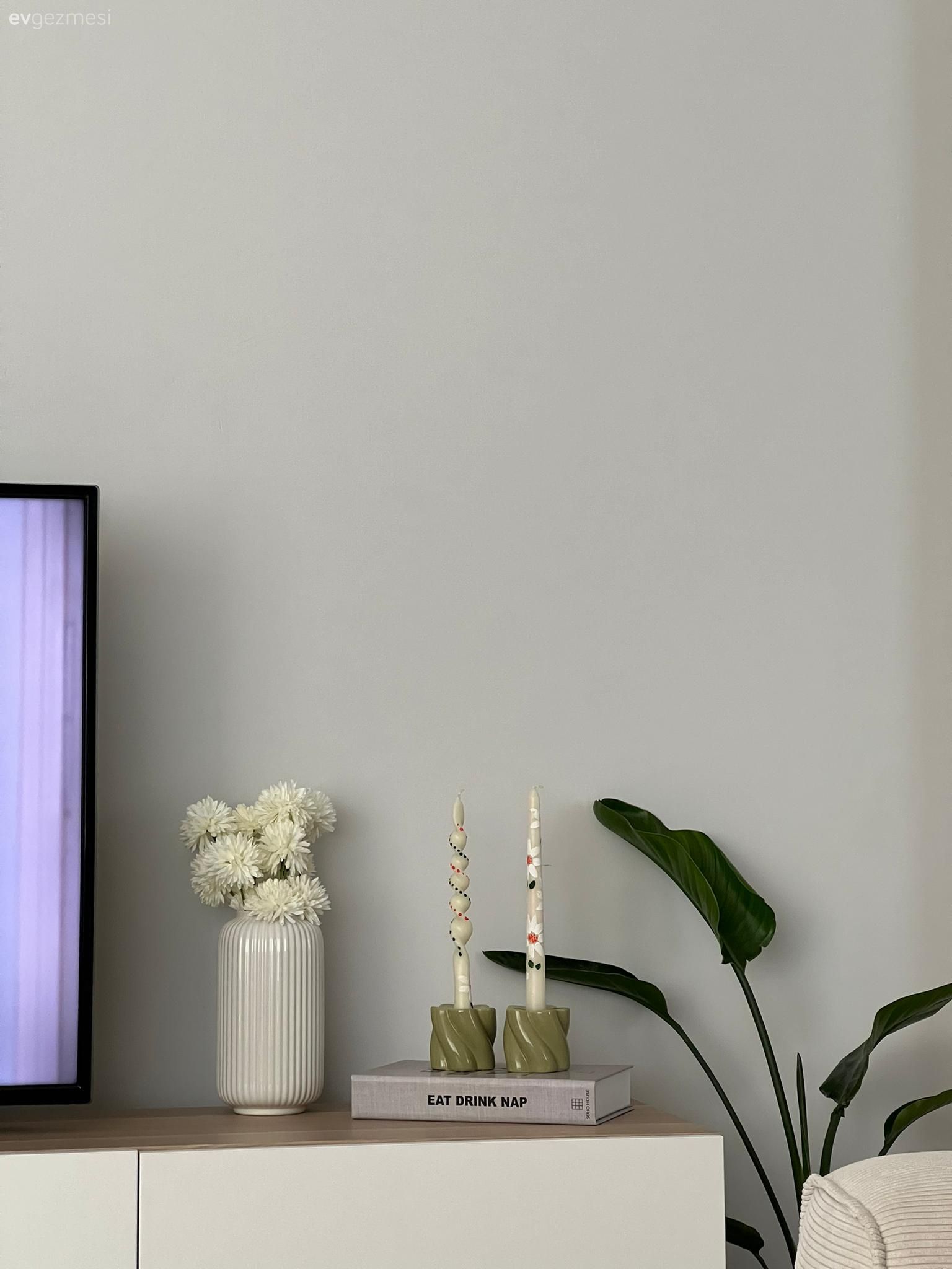 Salon, Dekoratif Objeler, Ev bitkisi, Tv ünitesi, Beyaz, Bej, Yeşil