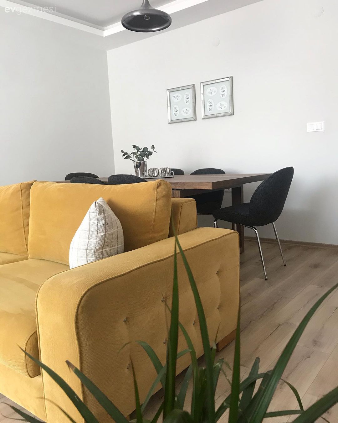 Salon, Hardal, Beyaz, Koltuk takımı, Kırlent, Ev tekstili, Avize, Aydınlatma, Tül perde, Perde, Halı, Salon halısı, Parke