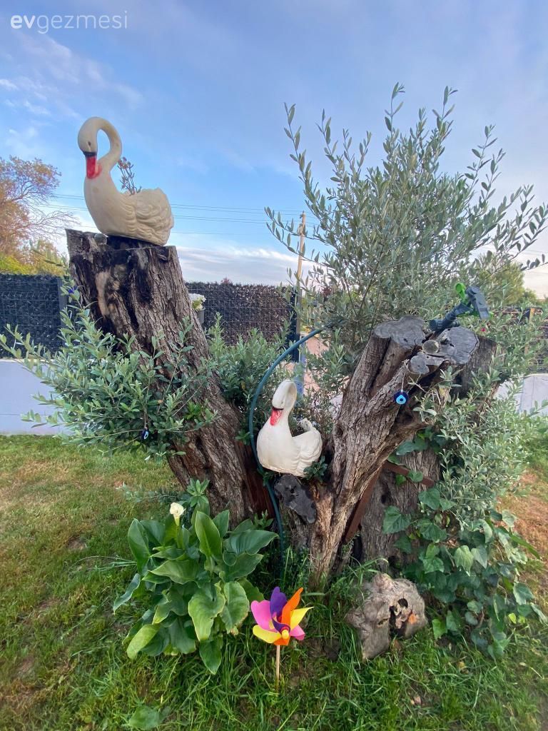 Urla'daki Bu Müstakil Ev Organik Yaşamın Kapısını Aralamış!