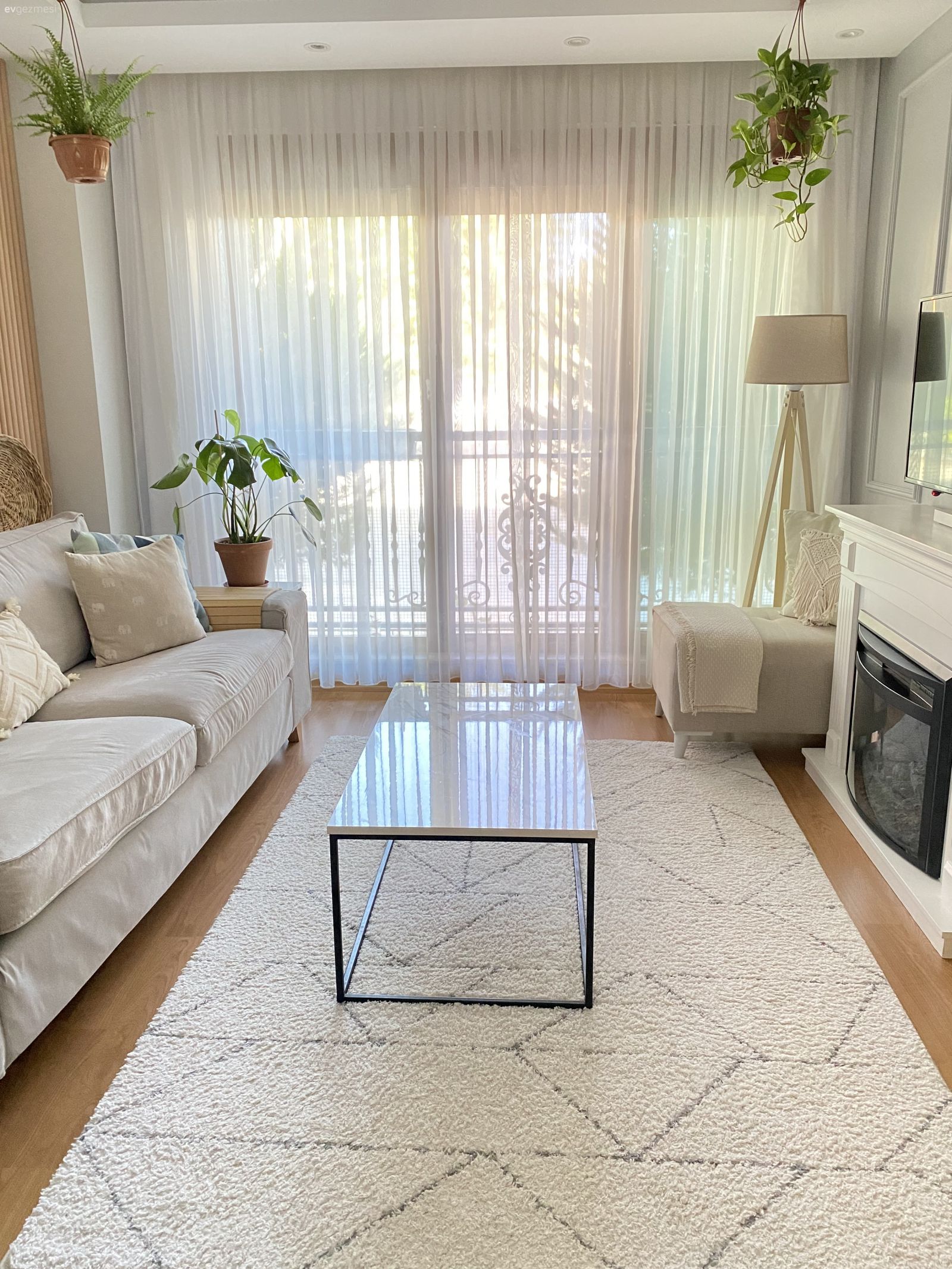 Salon, İskandinav, Bej, Beyaz, Krem, Koltuk takımı, Tül perde, Perde, Orta sehpa, Sehpa, Halı, Salon halısı, Kırlent, Ev tekstili, Lambader, Aydınlatma, Parke, Ev bitkisi, Berjer