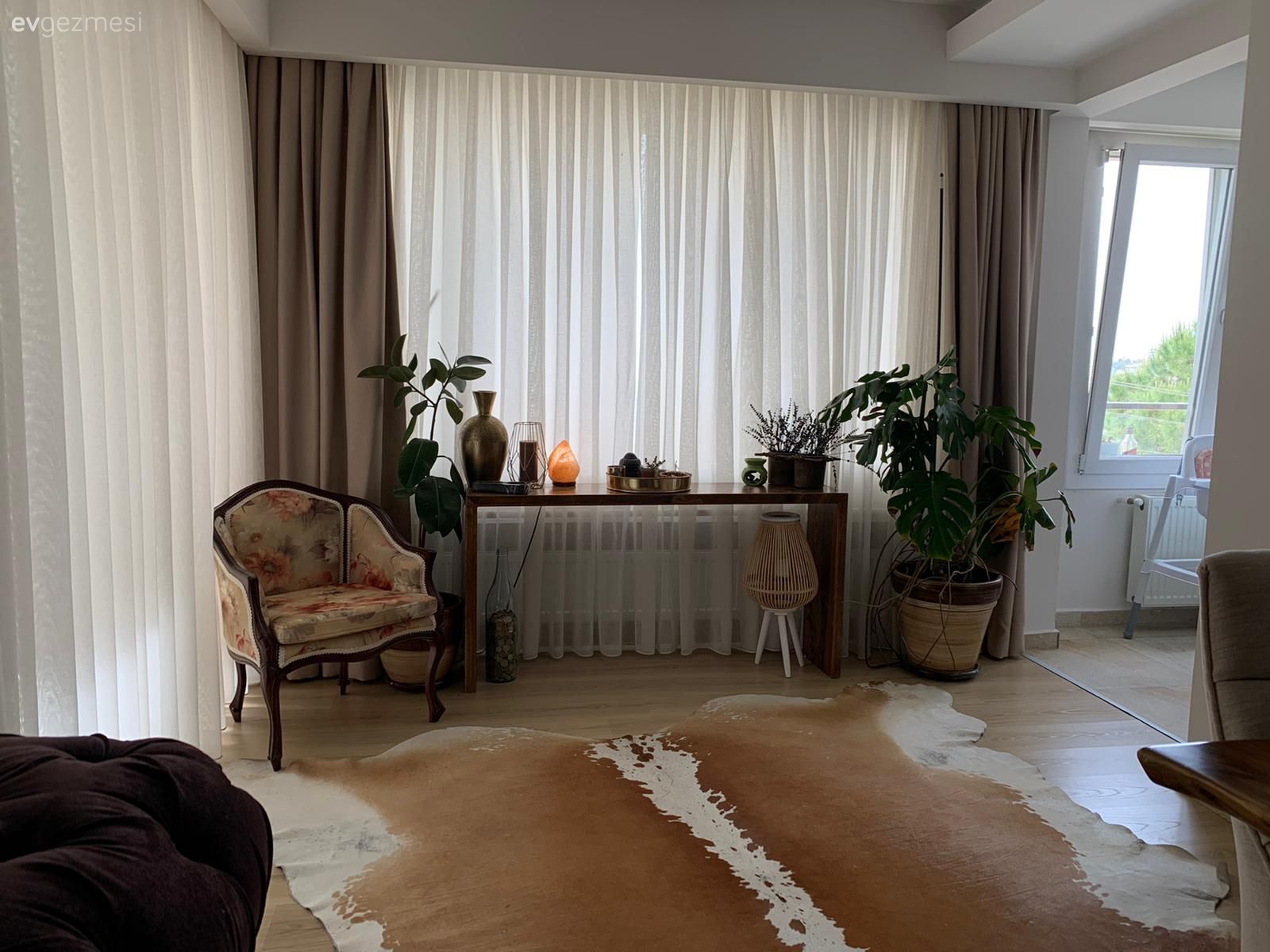 Berjer, Kahverengi, Post halı, Halı, Fon perde, Perde, Tül perde, Ev bitkisi