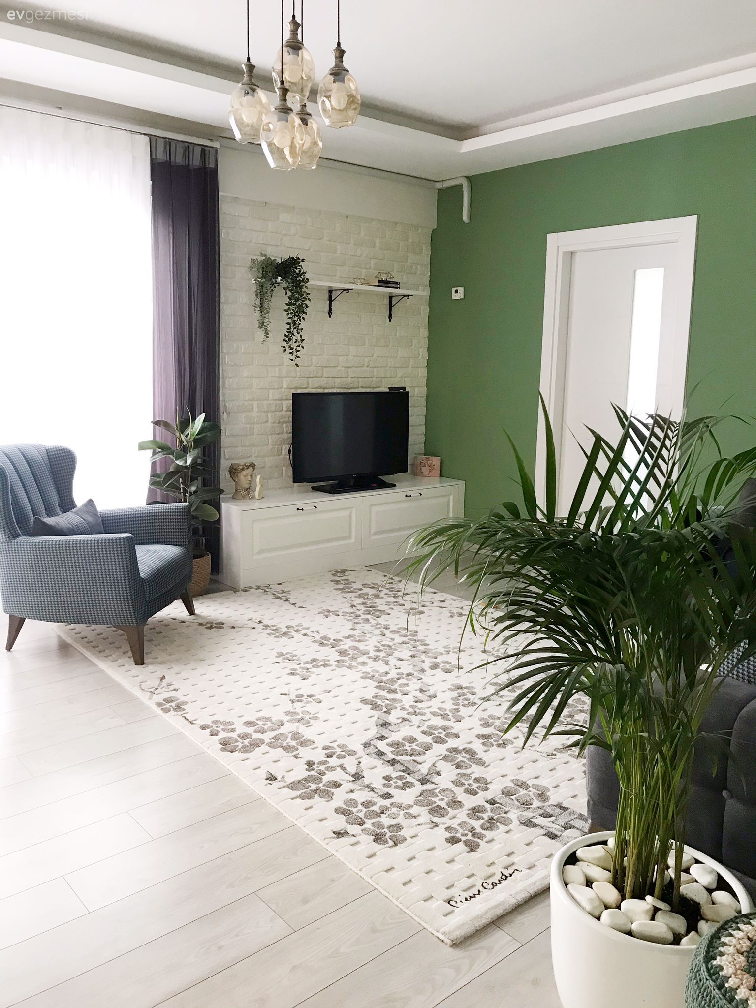 Salon, Yeşil duvar, Beyaz, Gri, Antrasit  , Fon perde, Perde, Tül perde, Avize, Aydınlatma, Salon avizesi, Ev bitkisi, Saksı, Duvar rafı, Duvar dekorasyonu