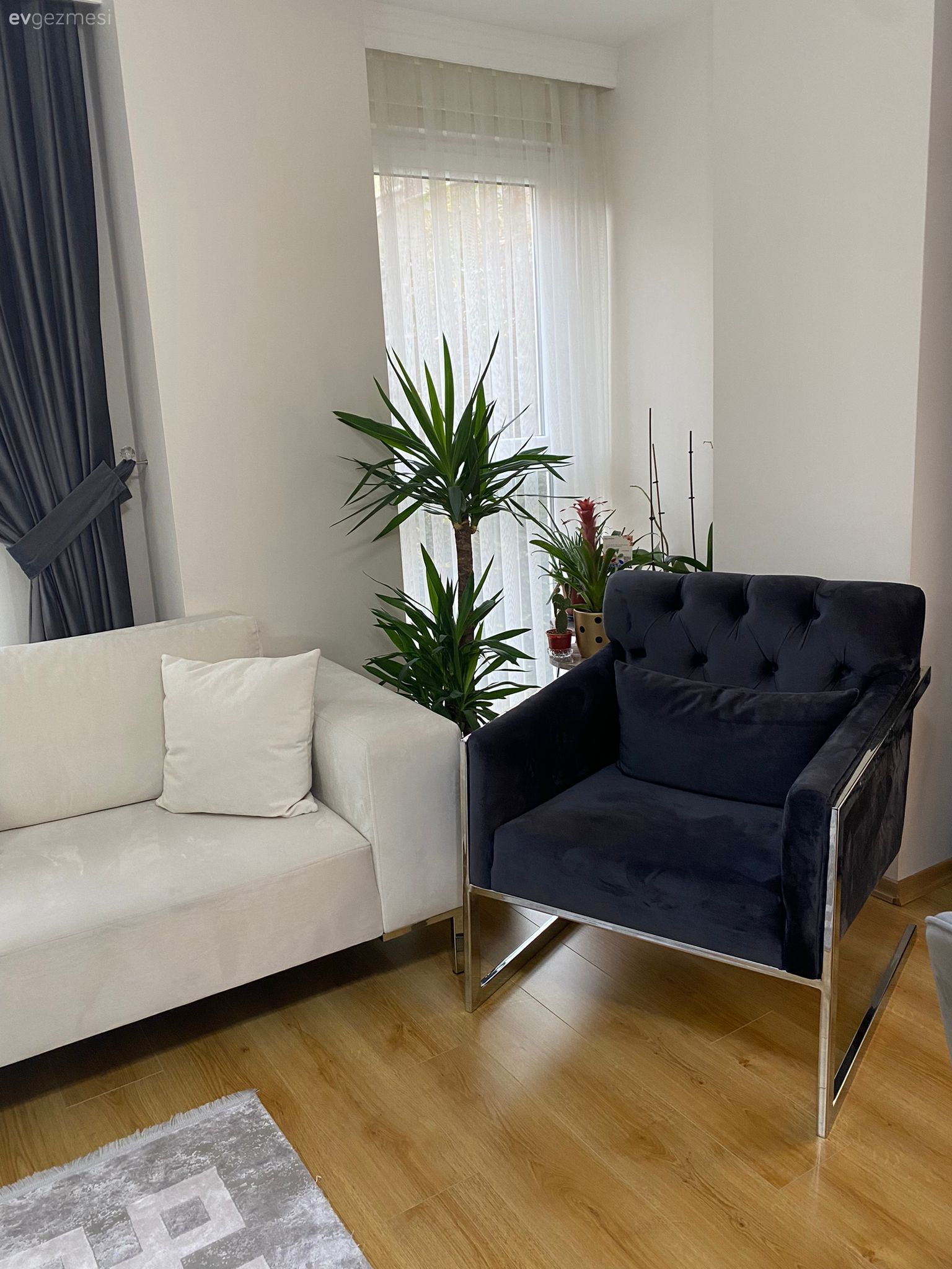 Füme, Beyaz, Ev bitkisi, Koltuk takımı, Berjer