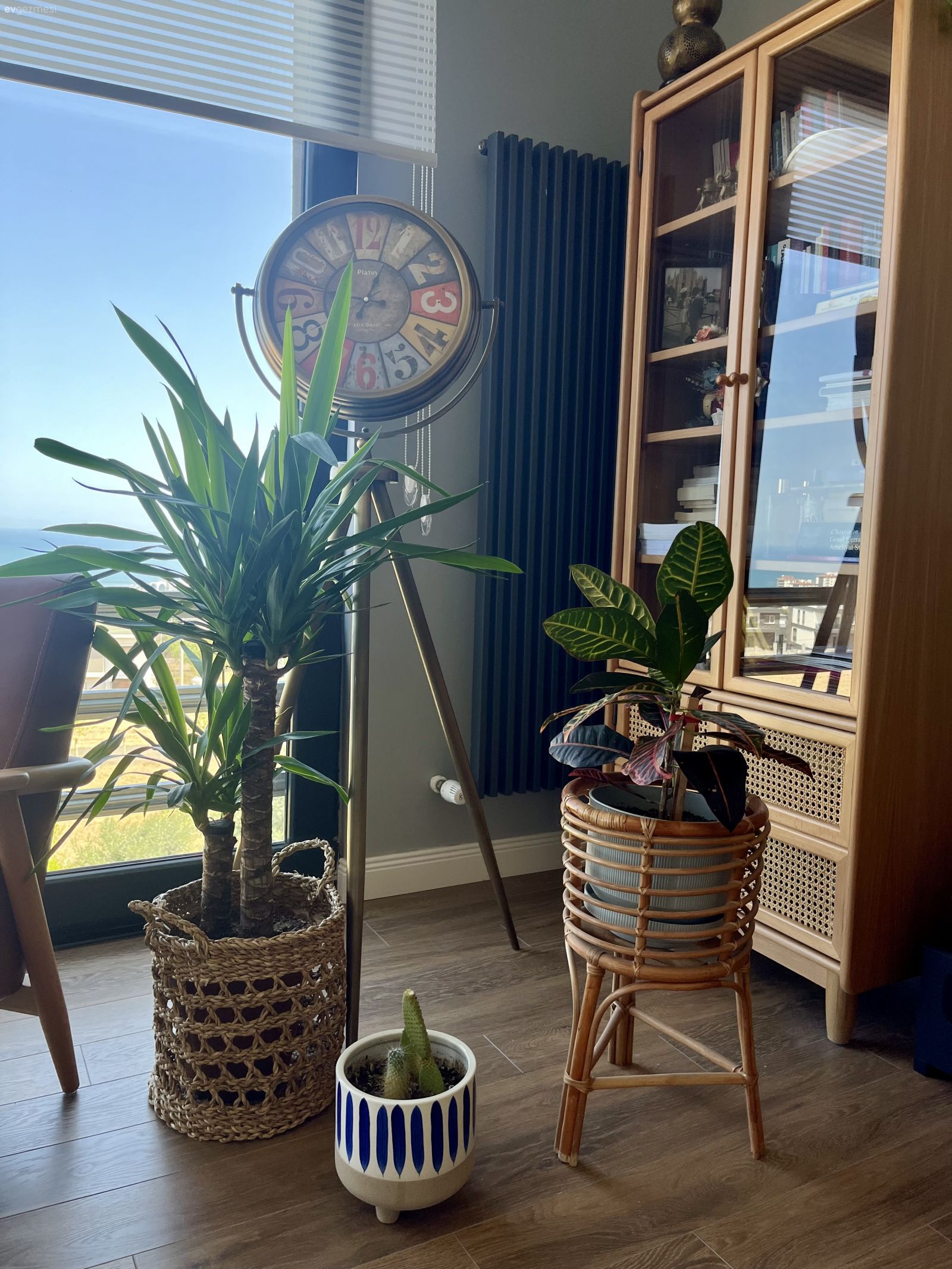 Tek Cephesi Tamamen Cam Olan Keyifli Samsun Evi! 