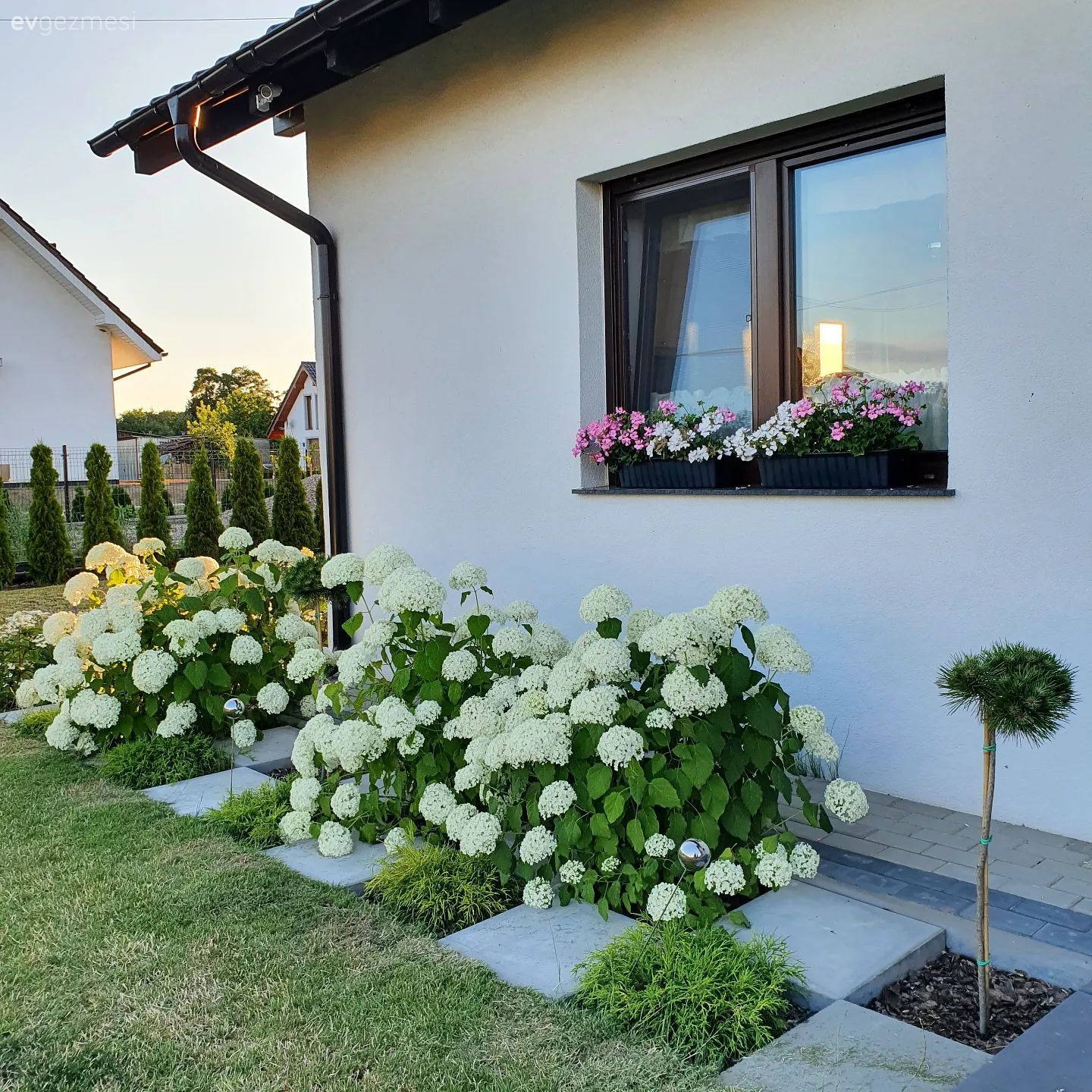 Müstakil Ev Modelleri: 135 M2 Tek Katlı 3+1 Betonarme Ev