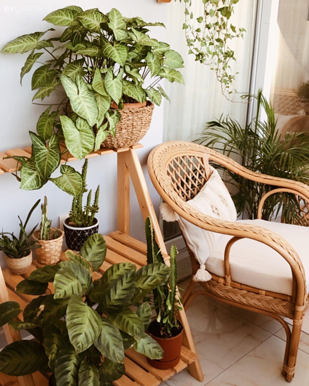 Balkon, Hasır, Hasır sandalye, Ev bitkisi, Balkon duvar dekorasyonu, Kırlent, Ev tekstili, Balkon masası, Sandalye