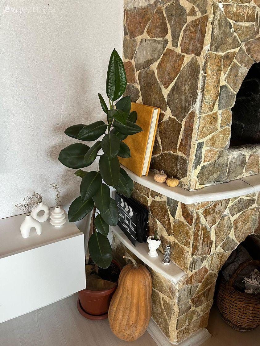 Şömine, Ev bitkisi, Saksı, Tv ünitesi, Tv ünitesi aksesuarları, Ev Aksesuar