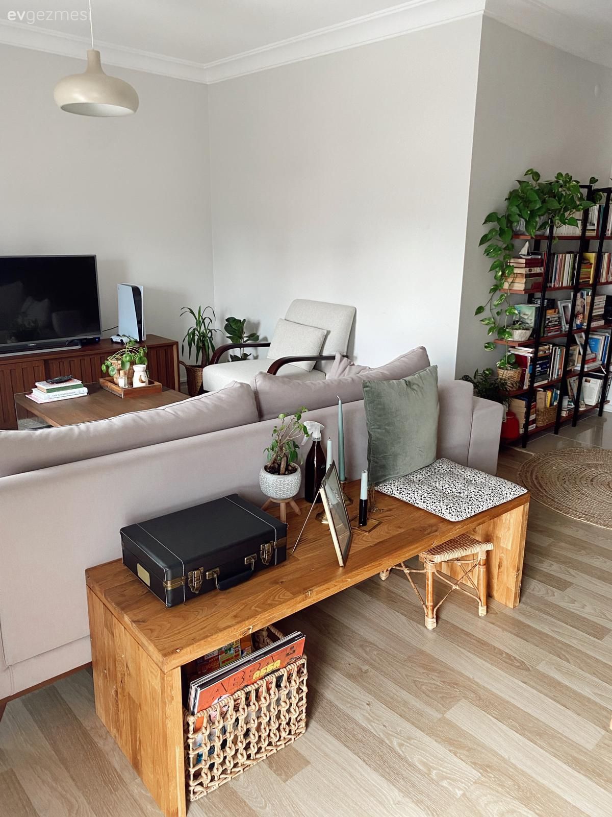 Koltuk takımı, Ahşap Mobilya, Çiçeklik, Parke, Sarkıt, Aydınlatma, Sehpa, Ev bitkisi, Berjer