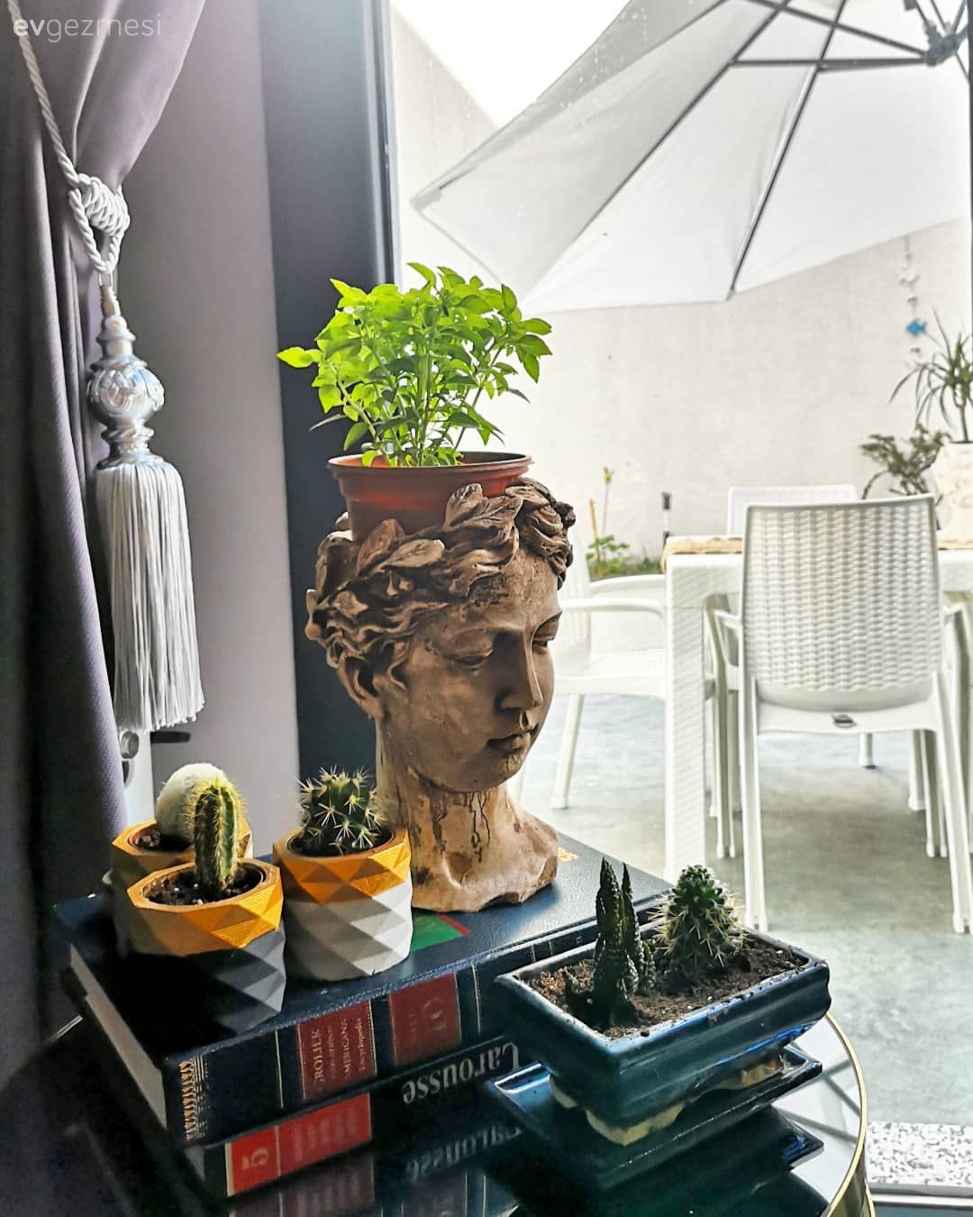 Ev Aksesuar, Saksı, Vazo, Dekoratif Objeler, Altın, Gri, Kaktüs, Ev bitkisi, Fon perde, Perde, Salon, Sehpa üstü aksesuarı